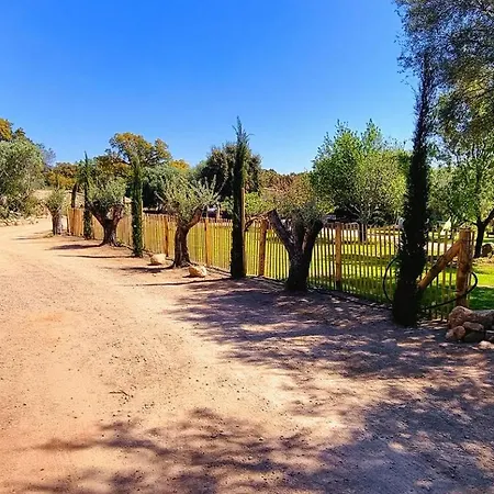 Domaine De Gialla Bergerie Quercia, 2 Pers, Piscine Chauffee, 10 Mn * Arraggio