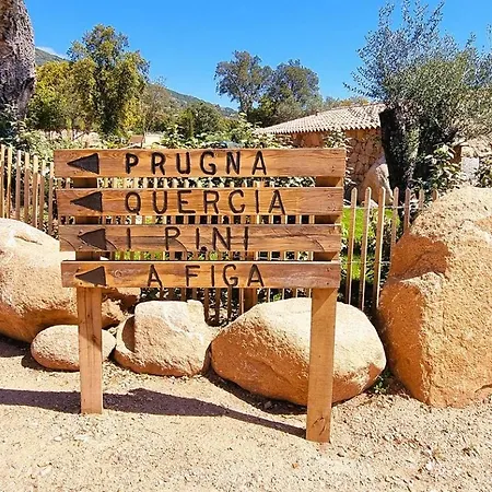 Domaine De Gialla Bergerie Quercia, 2 Pers, Piscine Chauffee, 10 Mn Villa Arraggio