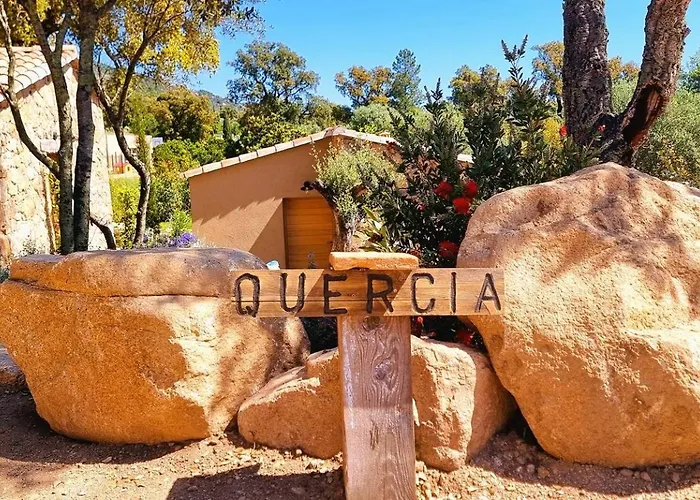 Domaine De Gialla Bergerie Quercia, 2 Pers, Piscine Chauffee, 10 Mn *